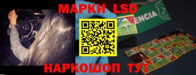 гидропоника Сланцы
