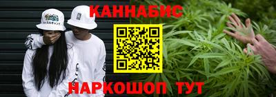 гидропоника Сланцы